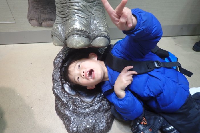卒業企画第１弾(東山動物園)に行きました。